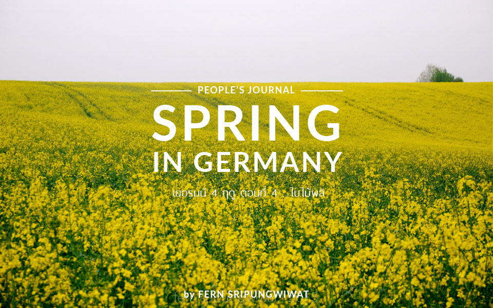 Spring in Germany เยอรมนี 4 ฤดู ตอนที่4 ฤดูใบไม้ผลิ CULTURED CREATURES